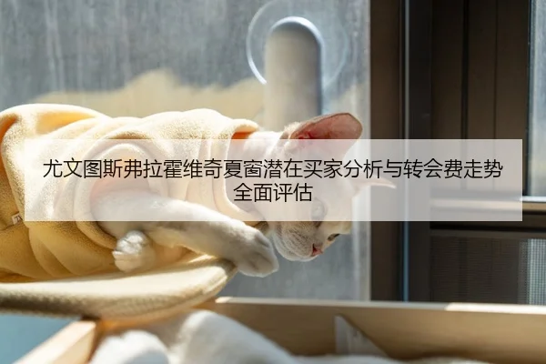 尤文图斯弗拉霍维奇夏窗潜在买家分析与转会费走势全面评估